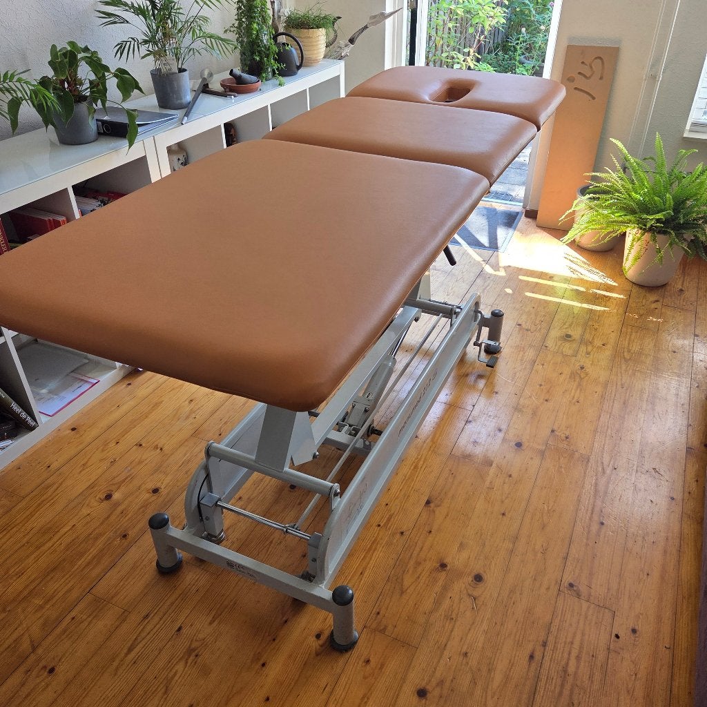 aangeboden professionele massagetafel/behandeltafel, Sport en Fitness, Massageproducten, Ophalen, Zo goed als nieuw, Massagetafel