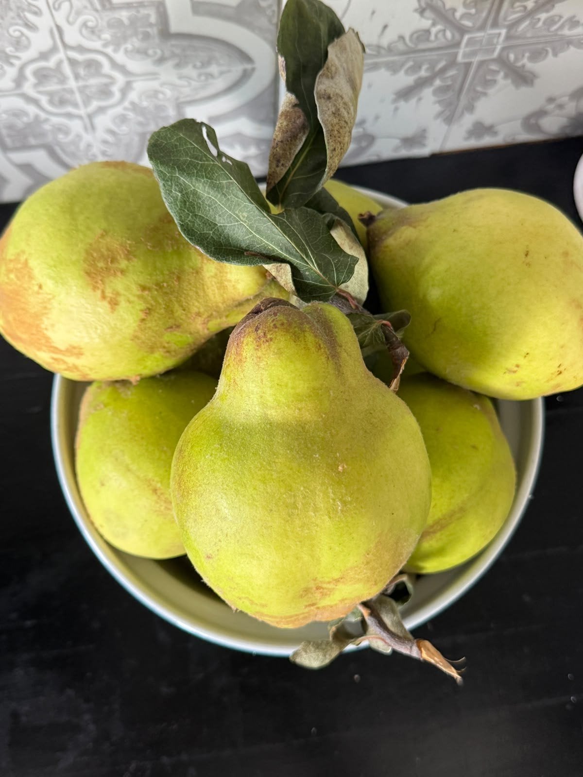 verse marokkaanse sfarsjl  ( kweeperen ) €3,50 per kilo, Ophalen of Verzenden, Minder dan 100 cm, Overige soorten, Zomer