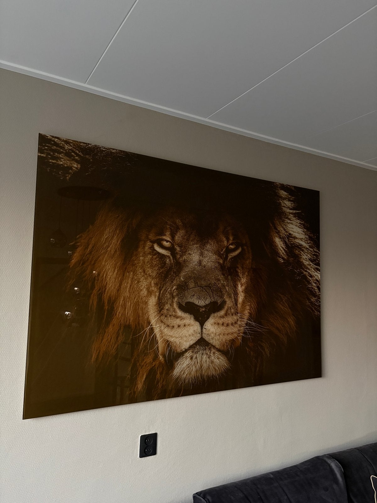 Groot glazen canvas met indrukwekkende leeuw (1.55 x 1.06m), 125 cm of meer, Ophalen of Verzenden, 75 – 100, Print