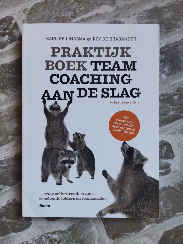 Praktijkboek Teamcoaching Aan De Slag, Zo goed als nieuw, Marijke Lingsma, Roy de Brabander, Alpha, HBO