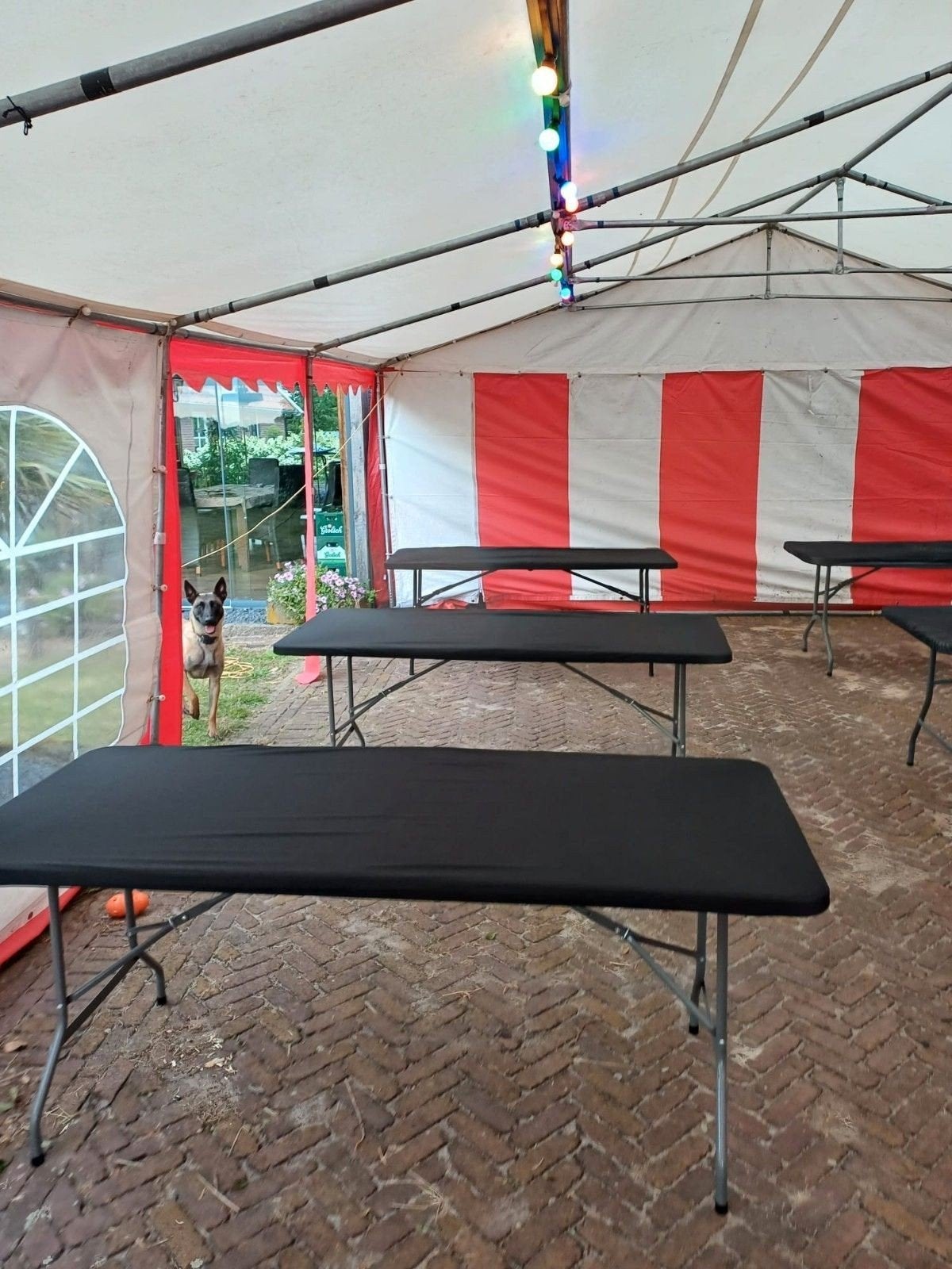 Te huur grote party tent 6 x 12 meter, Hobby en Vrije tijd, Feestartikelen | Verhuur, Ophalen