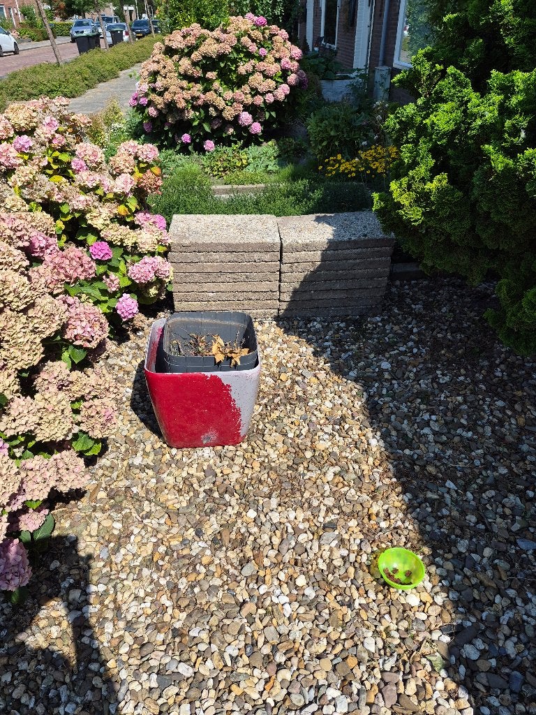 Tegels, Tuin en Terras, Ophalen, Gebruikt, Beton, Terrastegels