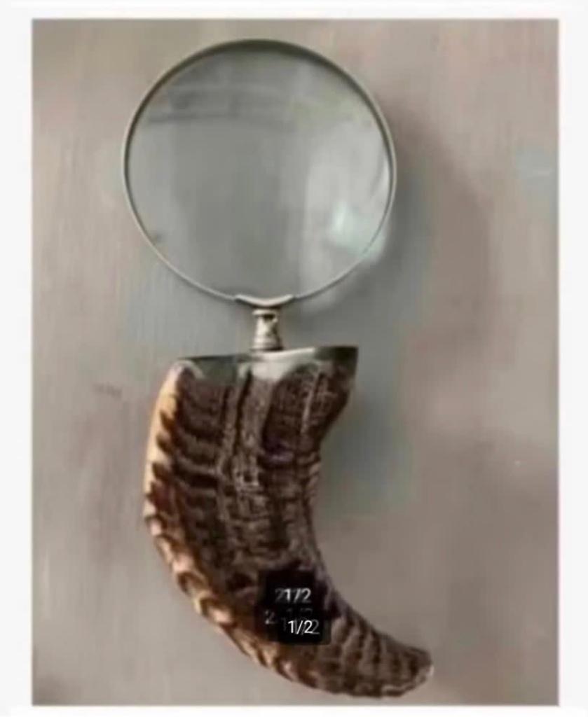 Loep, vergrootglas, Hoorn Handvat, 26 cm, Vergrootglas of Loep, Nieuw, Ophalen of Verzenden, X