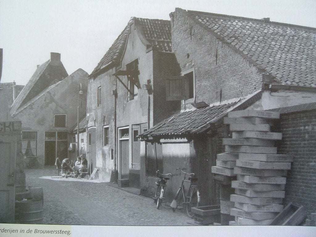 Historische boerderijen in Elburg, Ophalen of Verzenden, Zo goed als nieuw, 20e eeuw of later, P. van Beek