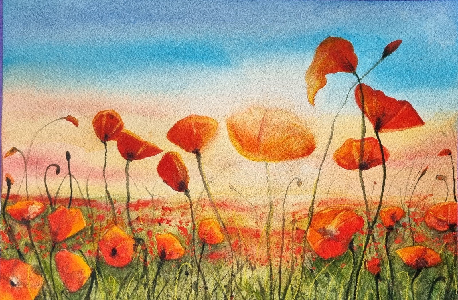 Aquarel Veld met Klaprozen, Ophalen of Verzenden