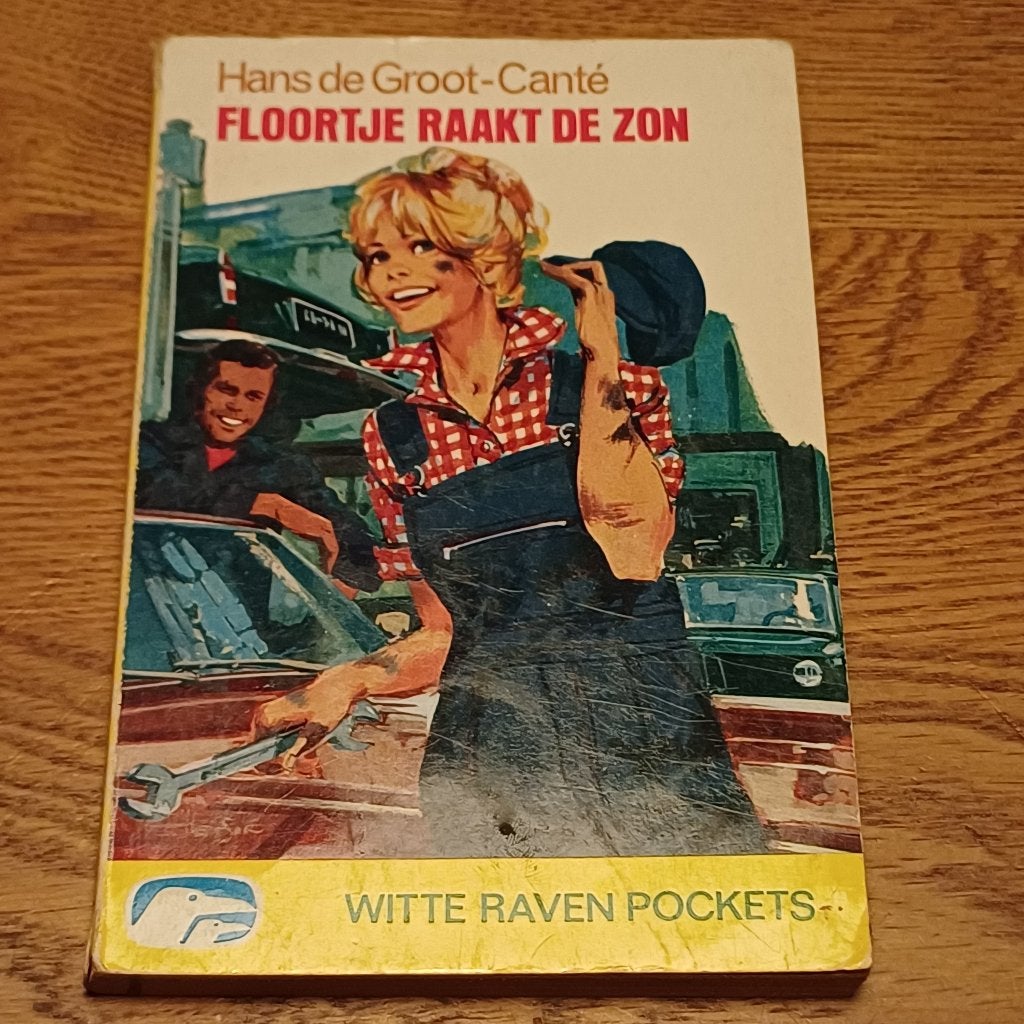 Floortje raakt de zon, Ophalen of Verzenden, Gelezen, Hans de Groot-Canté, Fictie algemeen