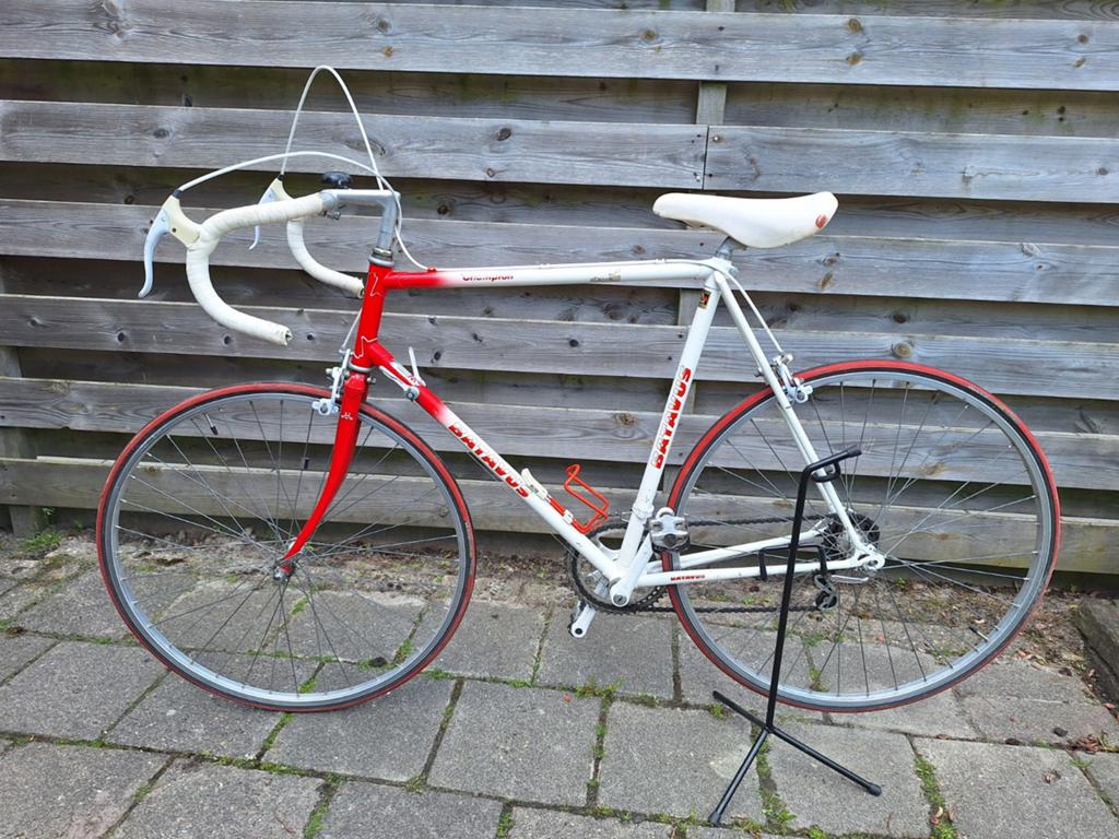 Batavus Champion, Ophalen, Gebruikt, Batavus, 57 tot 61 cm