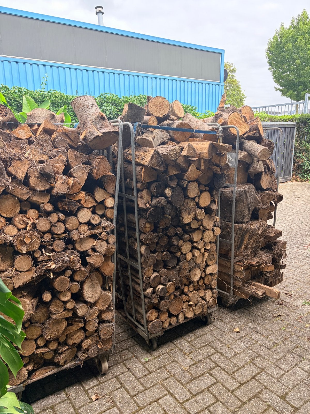 Kachelhout: Gemengd hout in blokken en stammen, 6 m³ of meer, Ophalen, Overige houtsoorten, Blokken