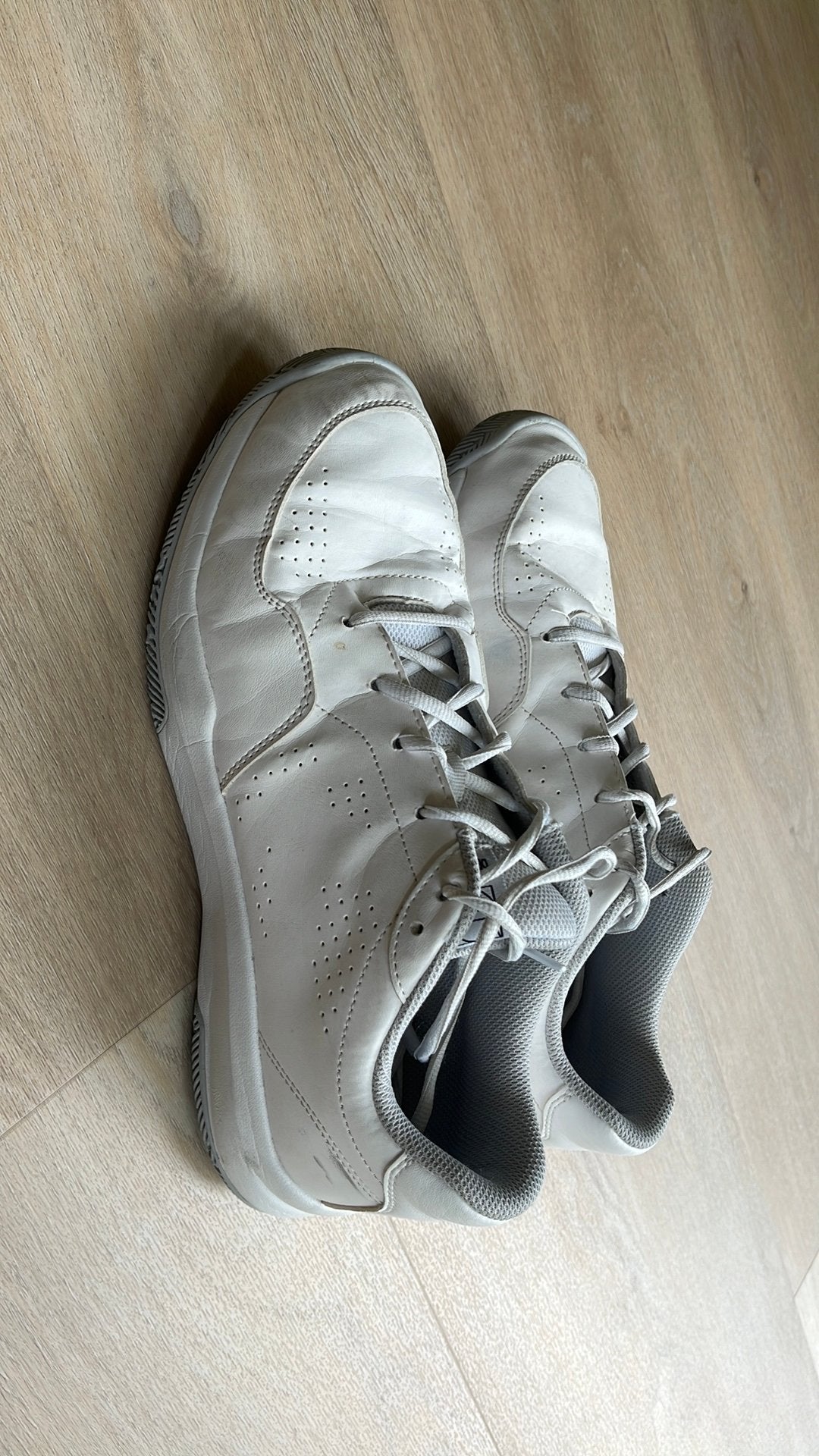 Schoolgymschoenen 44 indoor gympen sportschoenen, Sport en Fitness, Basketbal, Ophalen of Verzenden, Zo goed als nieuw, Schoenen