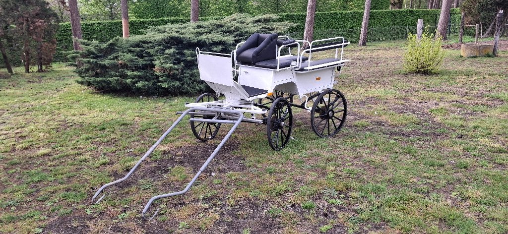 Recreatiewagen/ wagonette, Gebruikt, Wagonette, Paard of Pony