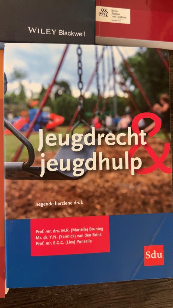 Jeugdrecht & jeugdhulp, Boeken, Studieboeken en Cursussen, Ophalen of Verzenden, Beta, Zo goed als nieuw, WO