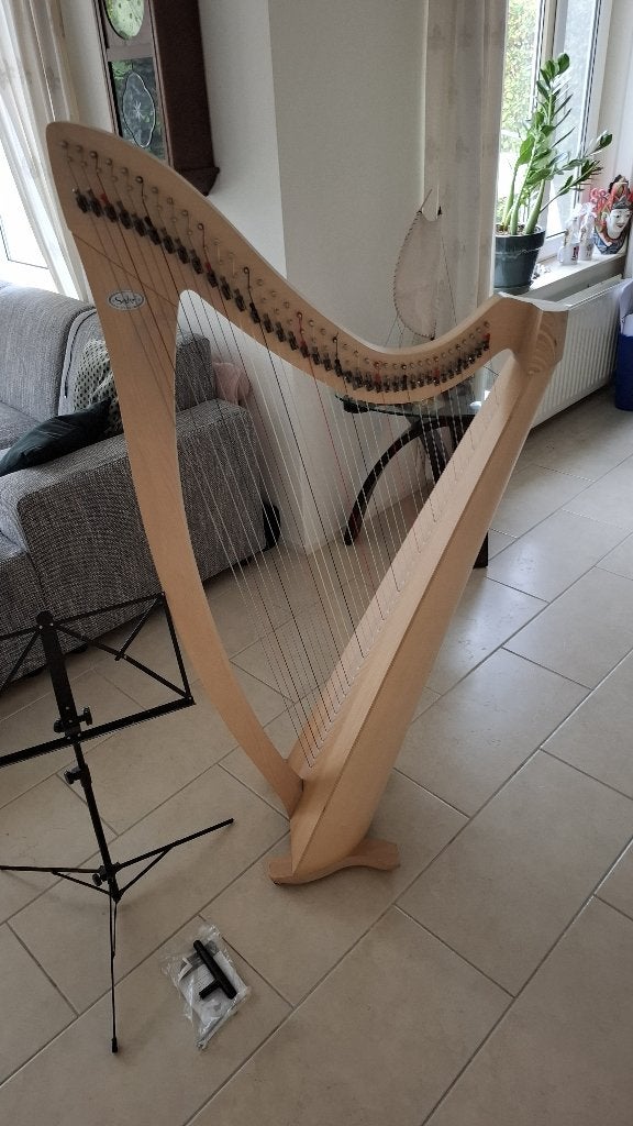 Salvi Prima 38-snarige hakenharp met accessoires, Muziek en Instrumenten, Ophalen, Zo goed als nieuw