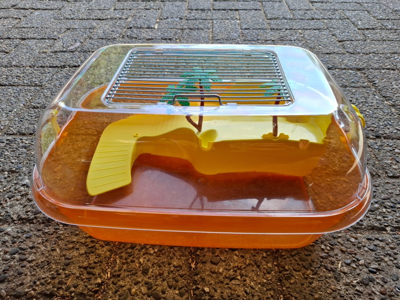 Schildpadden bak daffy, Verzenden, Nieuw