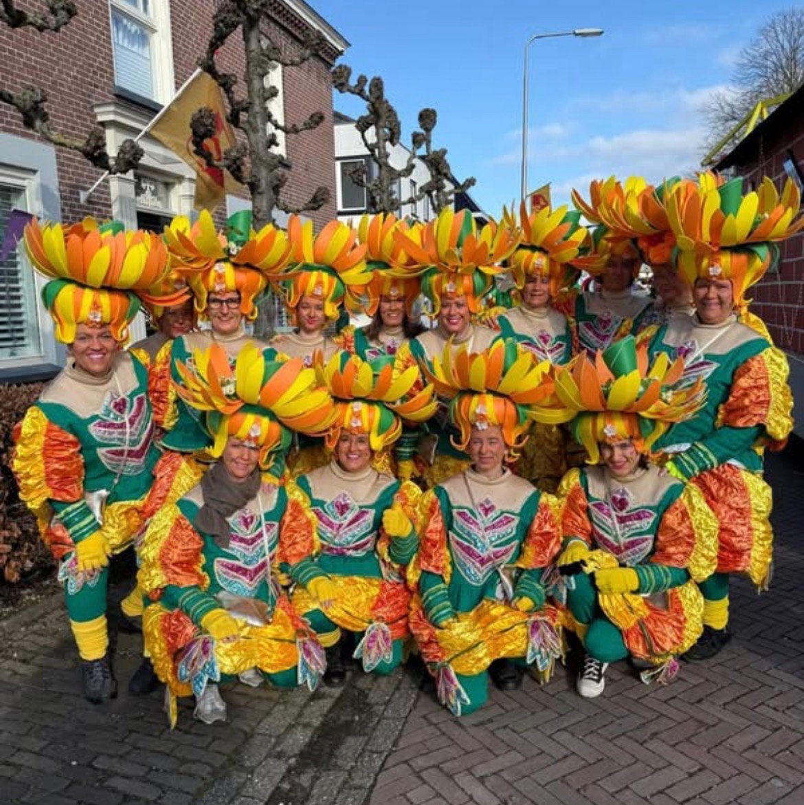Kleurrijke carnavalskostuums / loopgroep, Ophalen, Zo goed als nieuw, Maat 46/48 (XL) of groter, Carnaval