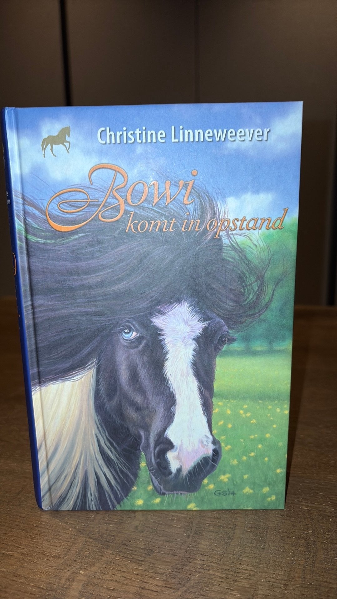 Christine Linneweever - Bowi. komt in opstand, Ophalen of Verzenden, Zo goed als nieuw, Christine Linneweever