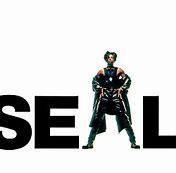 Seal - idem (top 2000) cd nwst./Orig., Ophalen of Verzenden, 1990 - 1999, Gebruikt