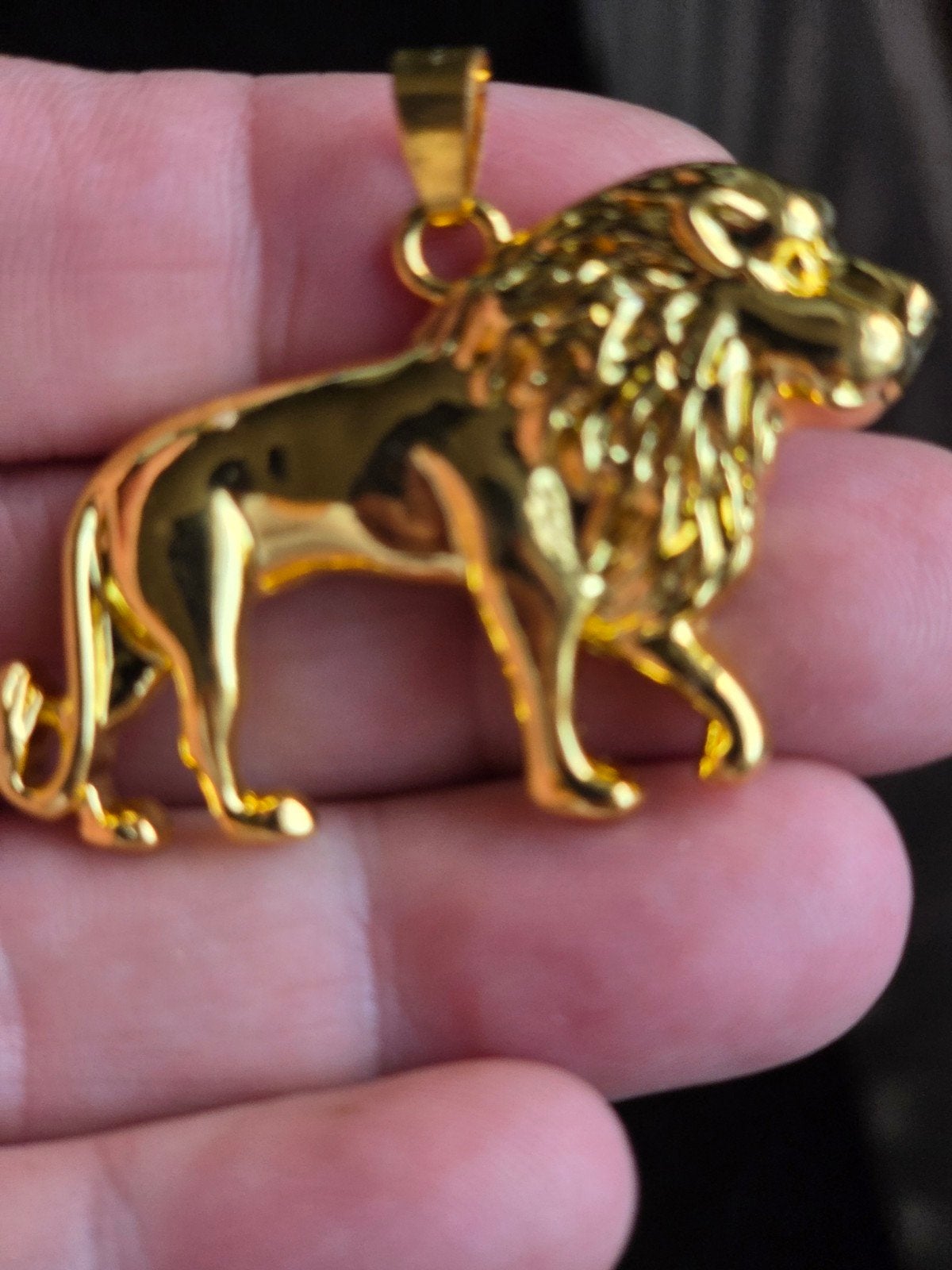 Nieuwe Goudkleurige Leeuwen Hanger, Overige materialen, Nieuw, Ophalen of Verzenden, Goud