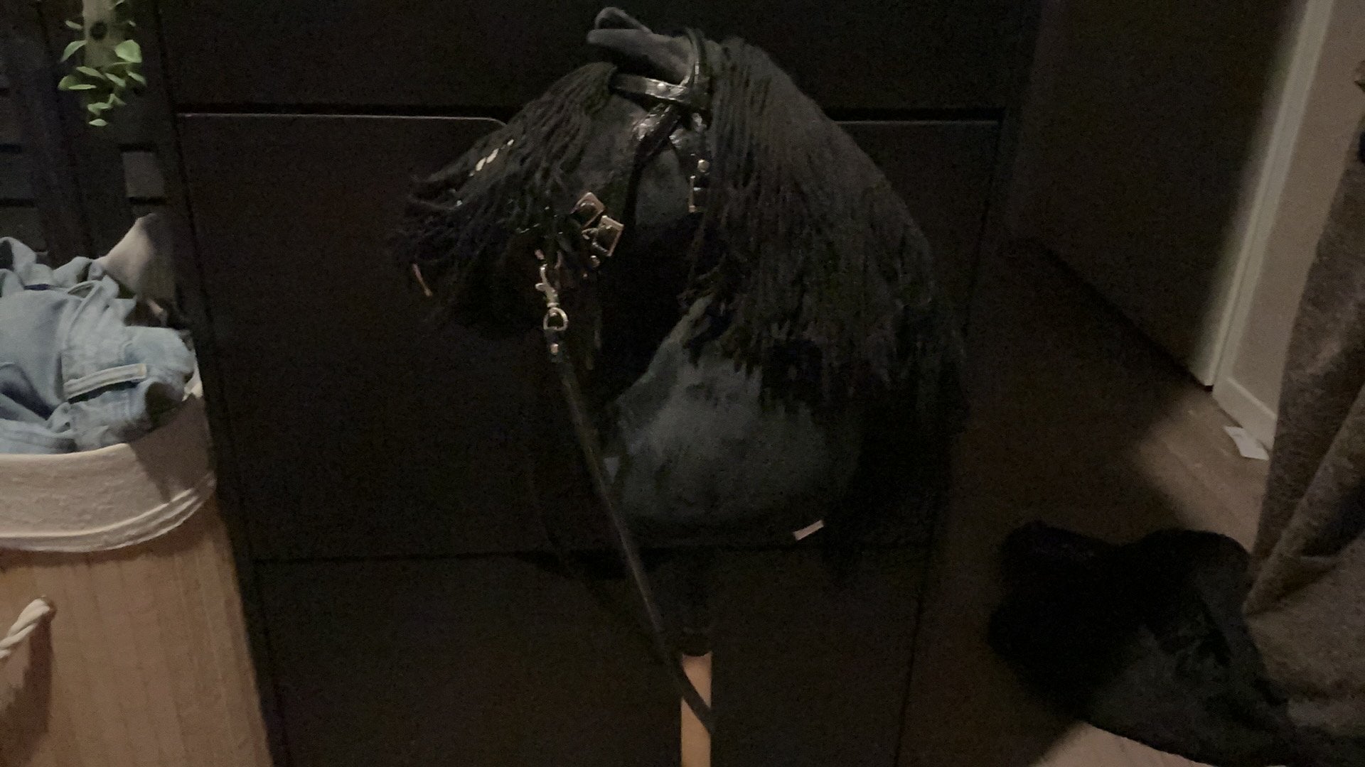 Hobby horse plus hoofd stel, Ophalen, Nieuw