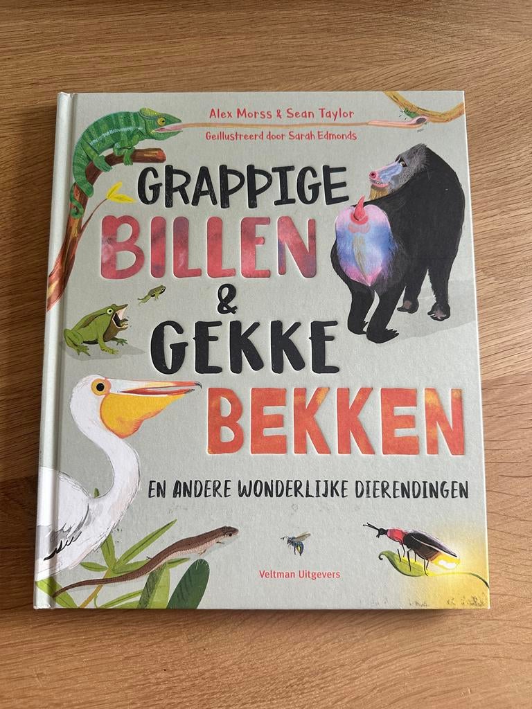 Bundel kinderboekjes voor 3/4/5 jarigen, Boeken, Jongen of Meisje, Ophalen of Verzenden, Zo goed als nieuw, Voorleesboek