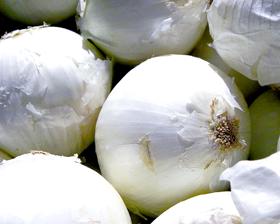 Ui White Queen, Ophalen of Verzenden, Voorjaar, Volle zon, Zaad