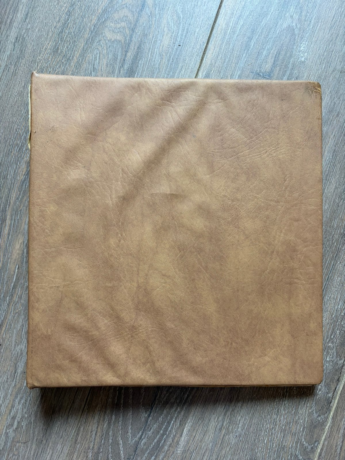 Leeg Lindner Album Denemarken, Ophalen of Verzenden, Verzamelalbum