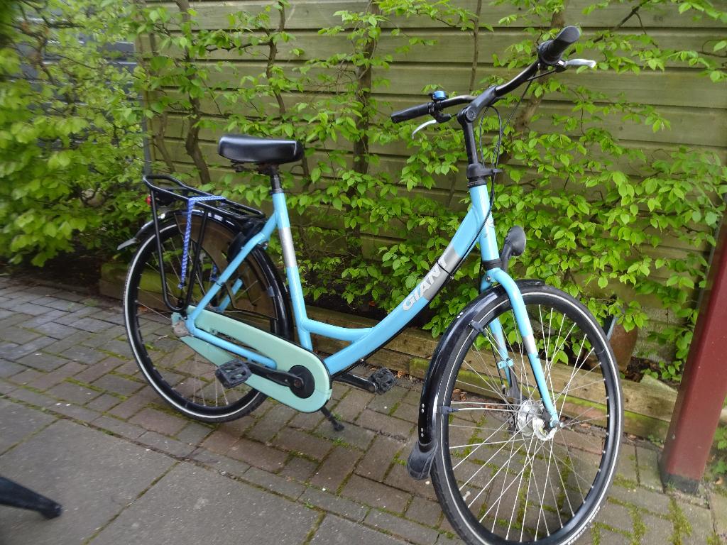 Keurige lichtblauwe/zwarte Giant dames-sportfiets., Fietsen en Brommers, Ophalen, Gebruikt, Velgrem, Versnellingen