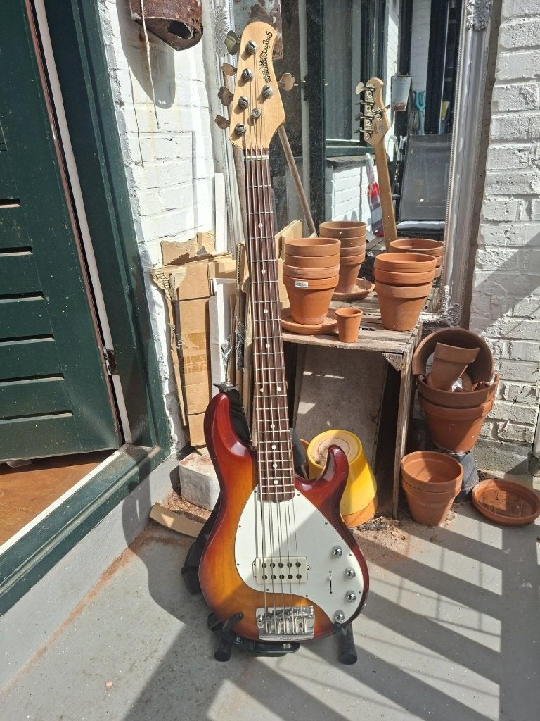 Music Man StingRay 5-snaar, Ophalen, Gebruikt, Elektrisch, 5-snarig