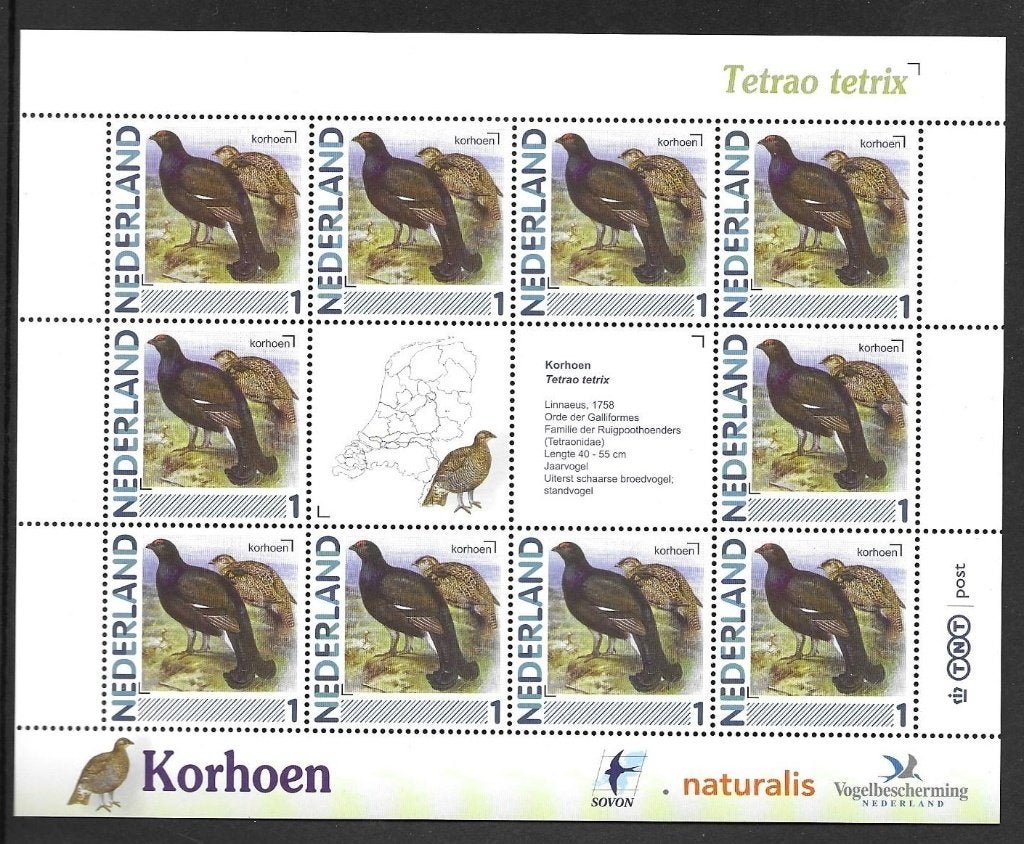 Vel persoonlijke zegels, Vogels Korhoen postfris, Ophalen of Verzenden, Postfris