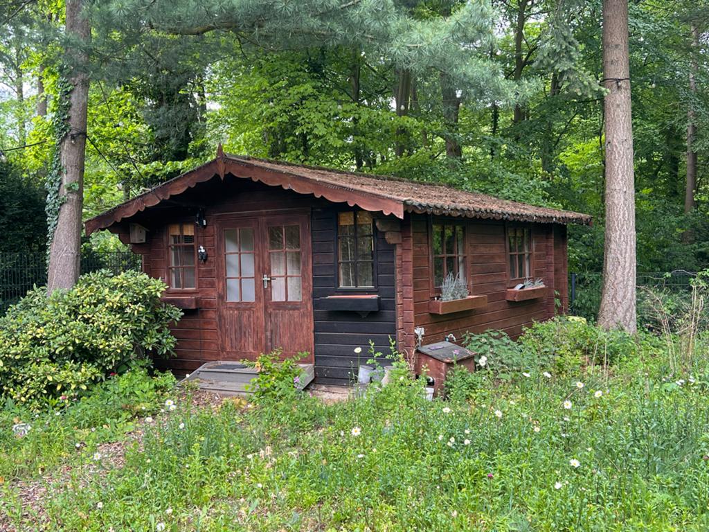 Gezellige houten blokhut/tuinhuis (zelf demonteren), Ophalen, 500 cm of meer, Hout, 200 tot 400 cm