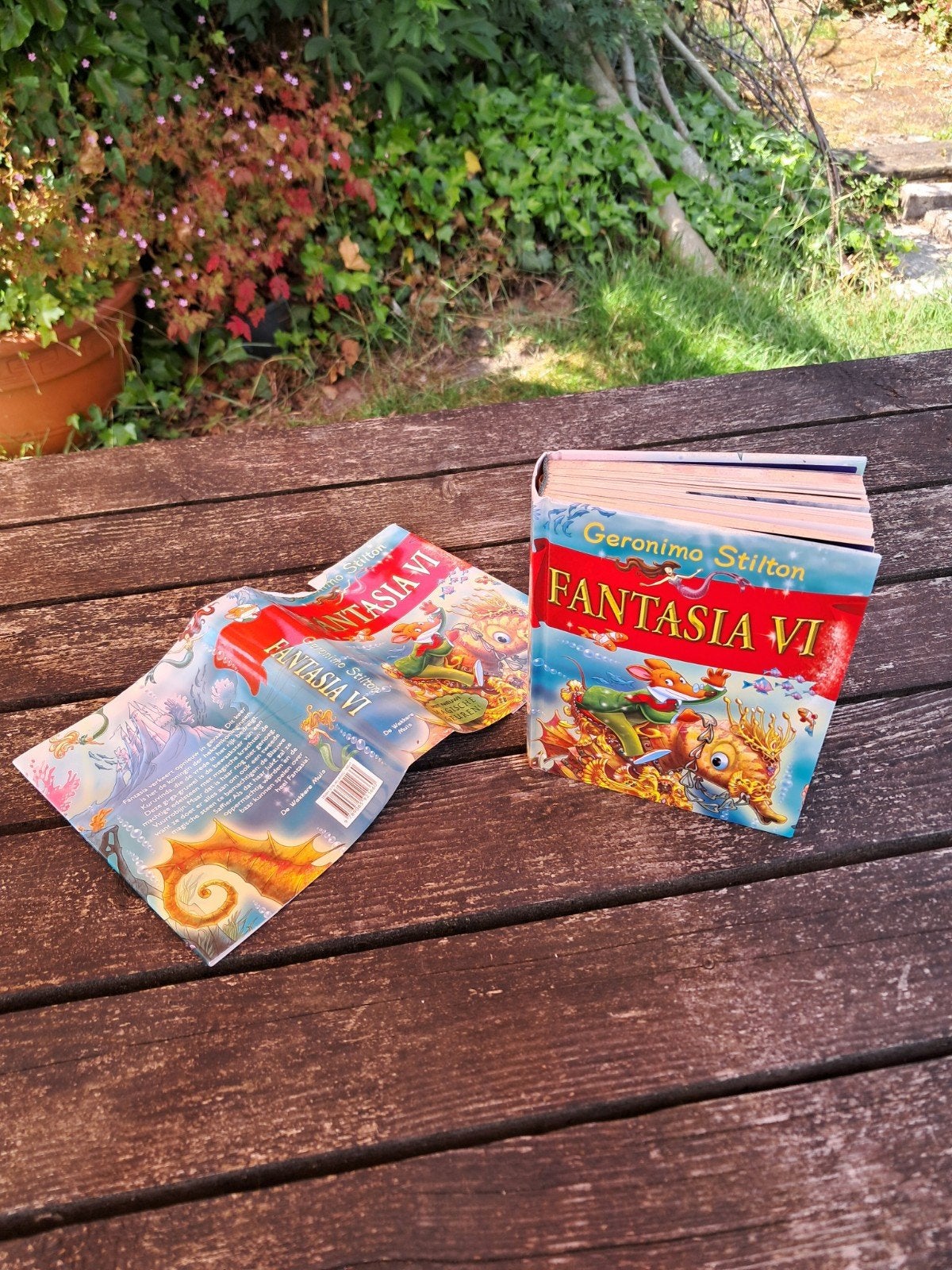 Fantasia VI leesboek Geronimo Stilton, Boeken, Kinderboeken | Jeugd | 10 tot 12 jaar, Ophalen, Zo goed als nieuw, Geronimo Stilton.