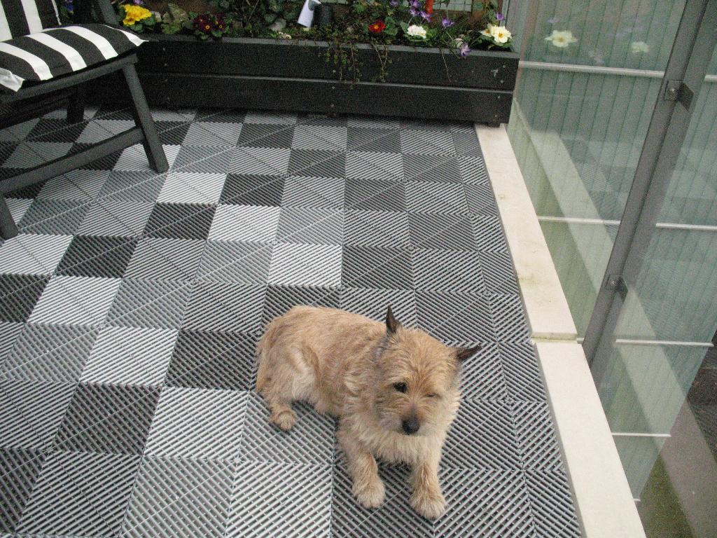 SwissDeck (RibDeck XL), Nieuw, Minder dan 50 cm, 10 m² of meer, Kunststof