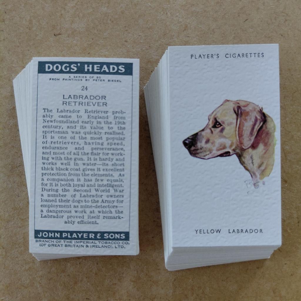 Dogs' Heads by Biegel compl. set 50 cigarette cards unissued, Ophalen
