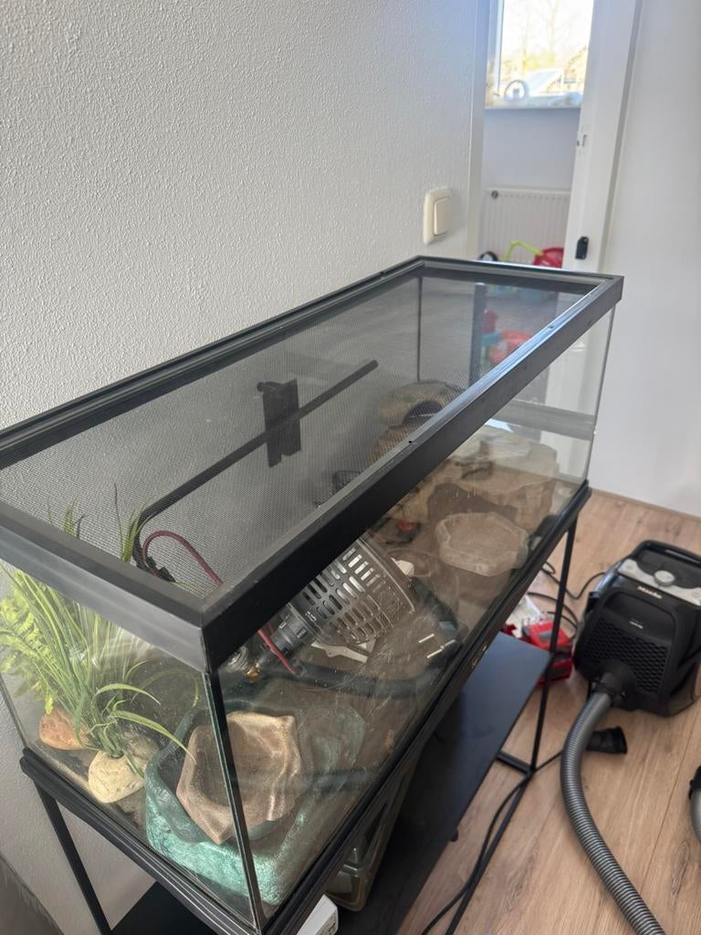 Terrarium Zoo Med 70x30x34 met toebehoren, Dieren en Toebehoren, Reptielen en Amfibieën | Toebehoren, Ophalen, Gebruikt, Terrarium of Paludarium