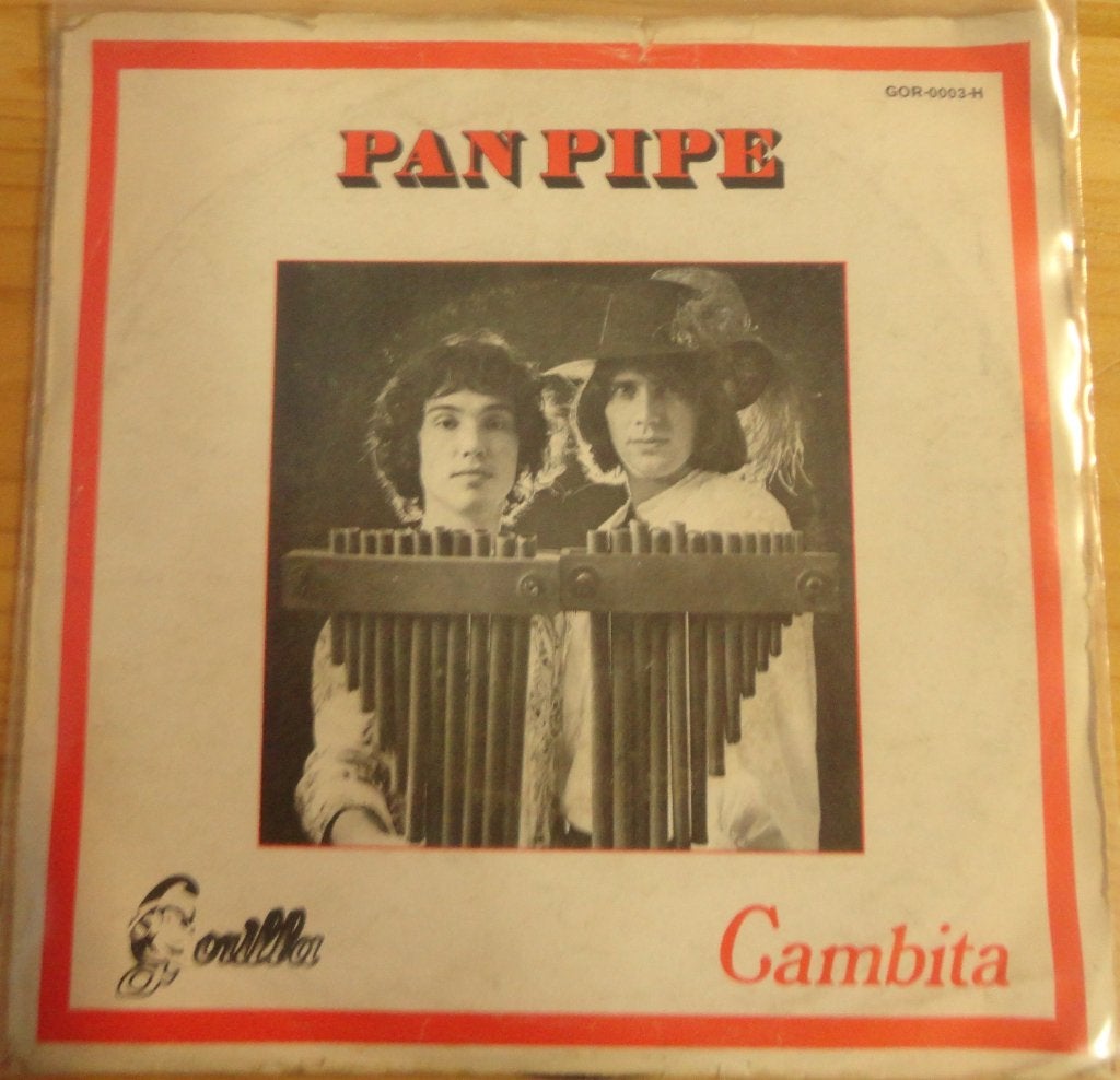 Pan-Pipe > Cambita, Ophalen of Verzenden, Gebruikt, Pop