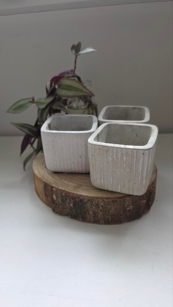 8 Nieuwe potjes voor kleine plantjes - TS Collection, Ophalen of Verzenden