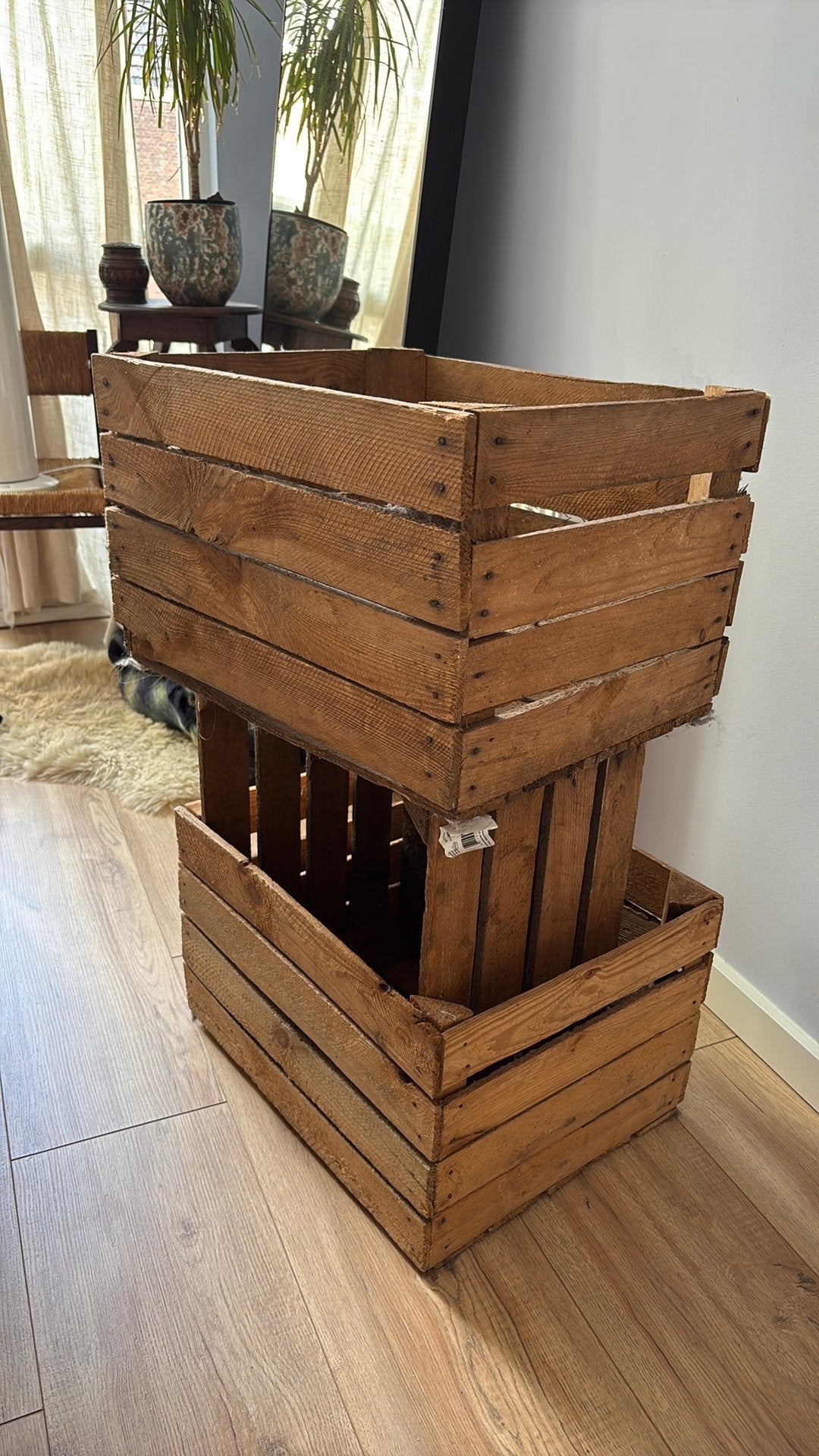 Fruitkistjes, Huis en Inrichting, Woonaccessoires | Kisten, Ophalen, Minder dan 50 cm, 50 tot 100 cm, Zo goed als nieuw