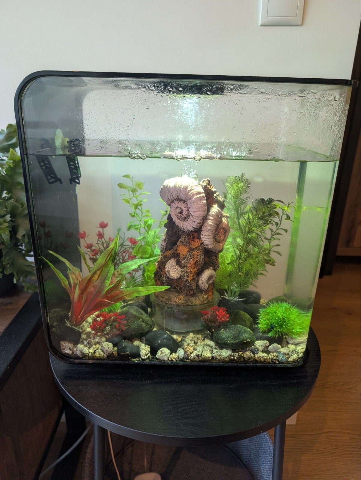 Biorb Flow 30L Aquarium met veel toebehoren, Ophalen, Inclusief deksel, Gebruikt, Leeg aquarium