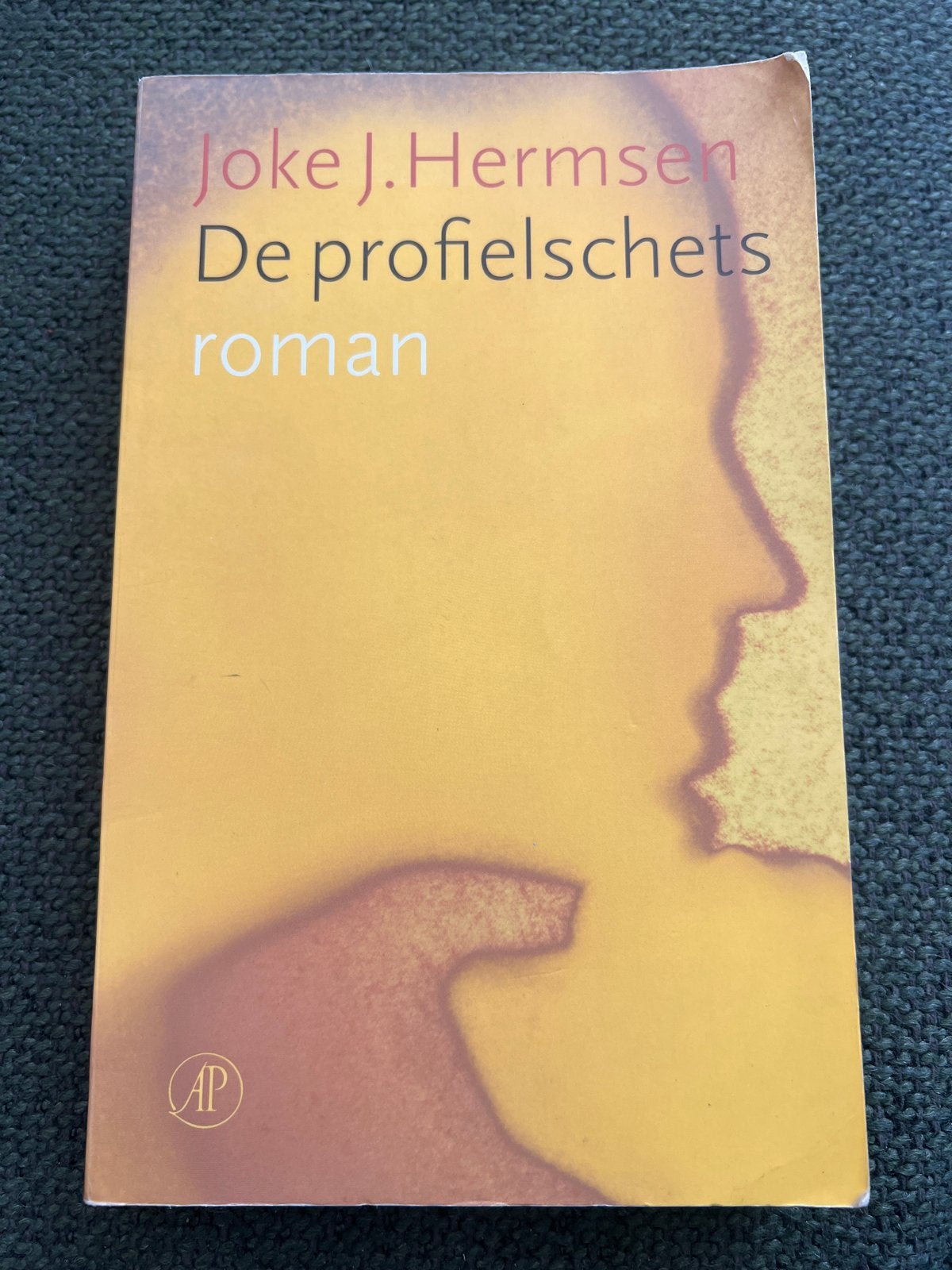 De Profielschets - Joke J. Hermsen (roman), Ophalen of Verzenden, Gelezen, Nederland