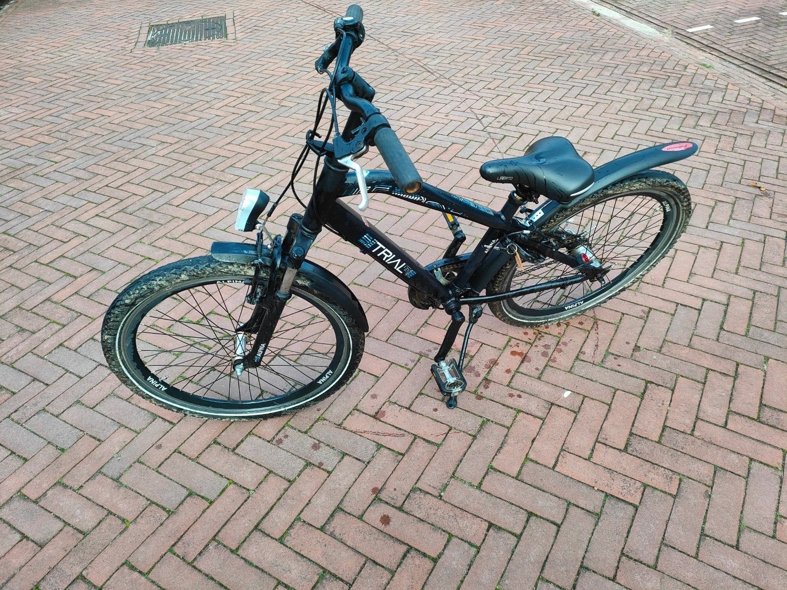 alpina trial fiets 24 inch met 3 versnelling, Ophalen, Terugtraprem, 24 inch, Zo goed als nieuw