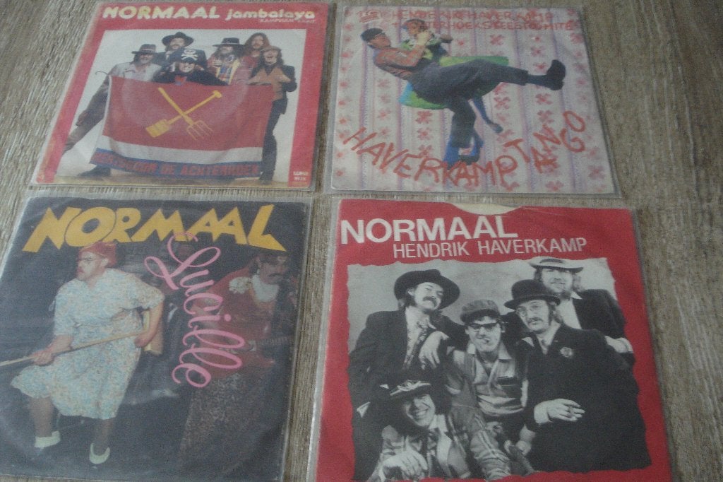 NORMAAL OP SINGLE 4 X, Beschermende buitenhoes, Ophalen of Verzenden, Zo goed als nieuw, Nederlandstalig