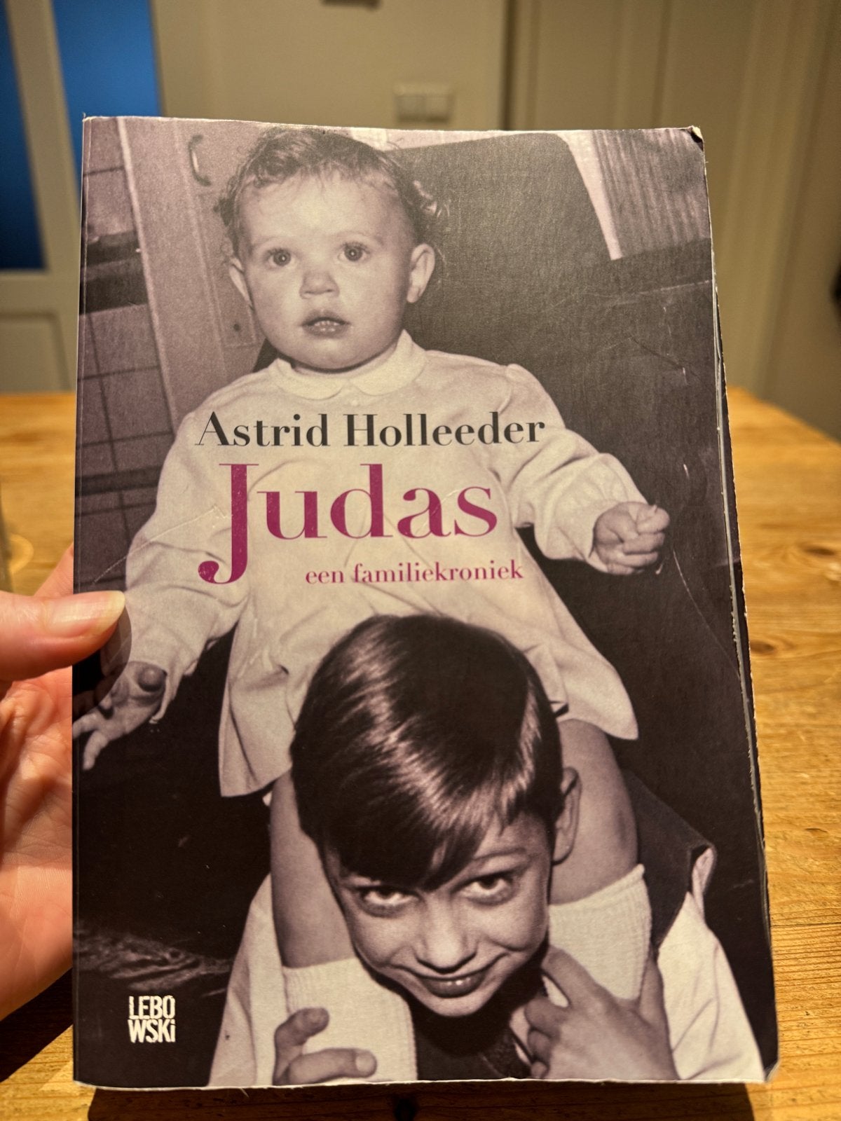 Judas - Astrid Holleeder (familiekroniek), Ophalen of Verzenden, Gelezen, Overige