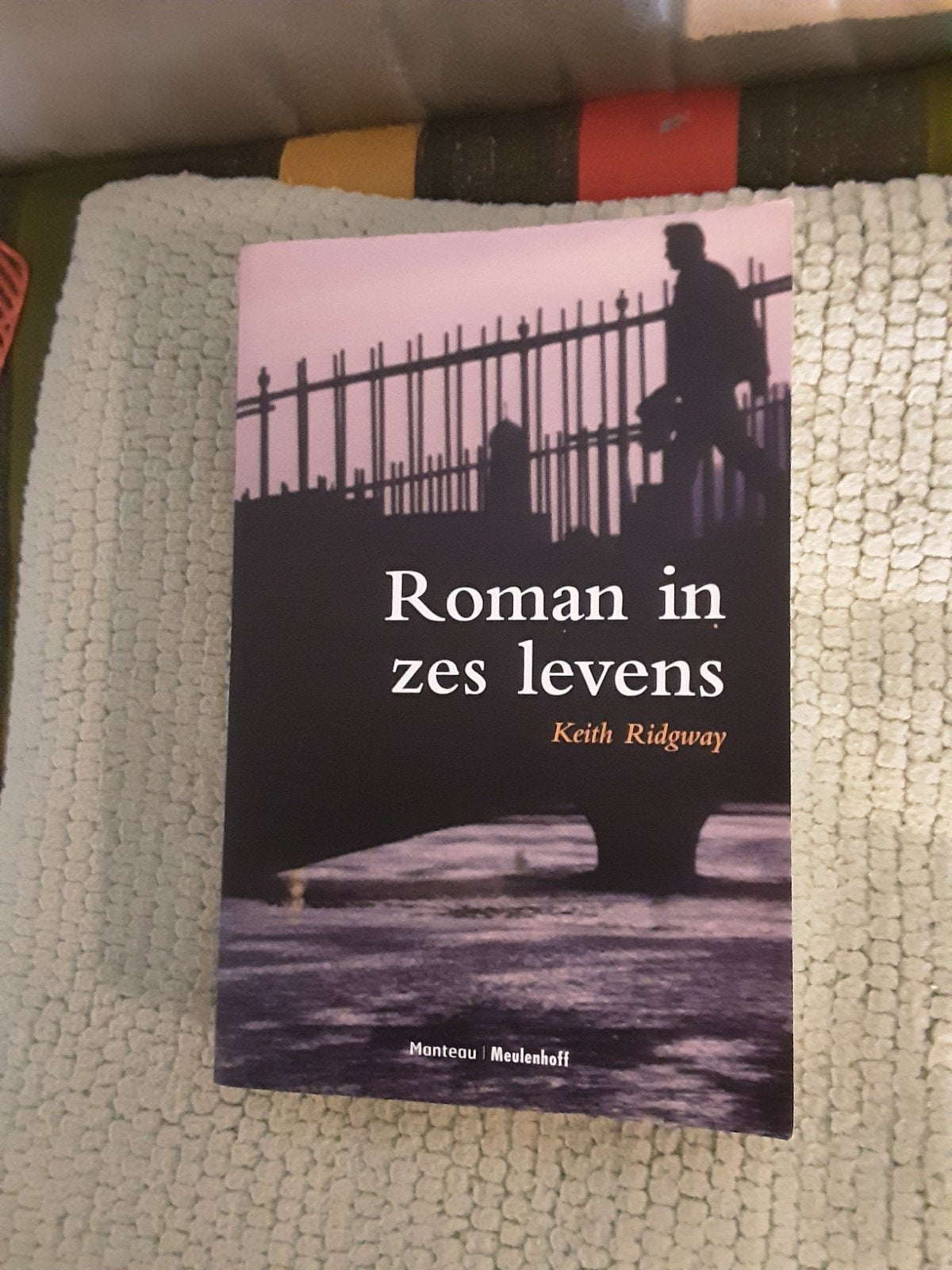 Keith Ridgway-----Roman in zes levens romans, Gelezen, Europa overig, Ophalen of Verzenden, Keith Ridgway