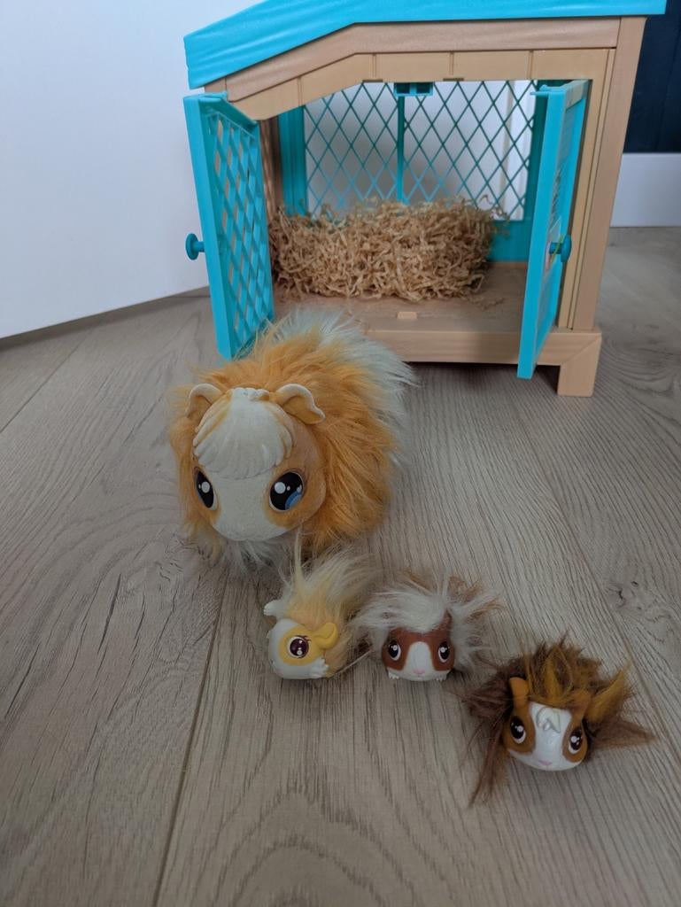 Live Pets Cavia, Ophalen, Gebruikt, Overige typen
