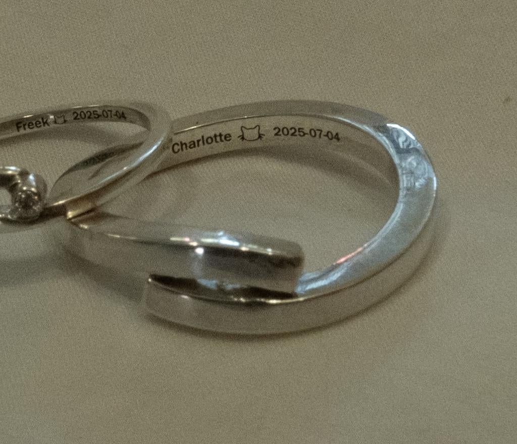 Verloren: zilveren trouwring, Ophalen of Verzenden, Zilver, Zilver