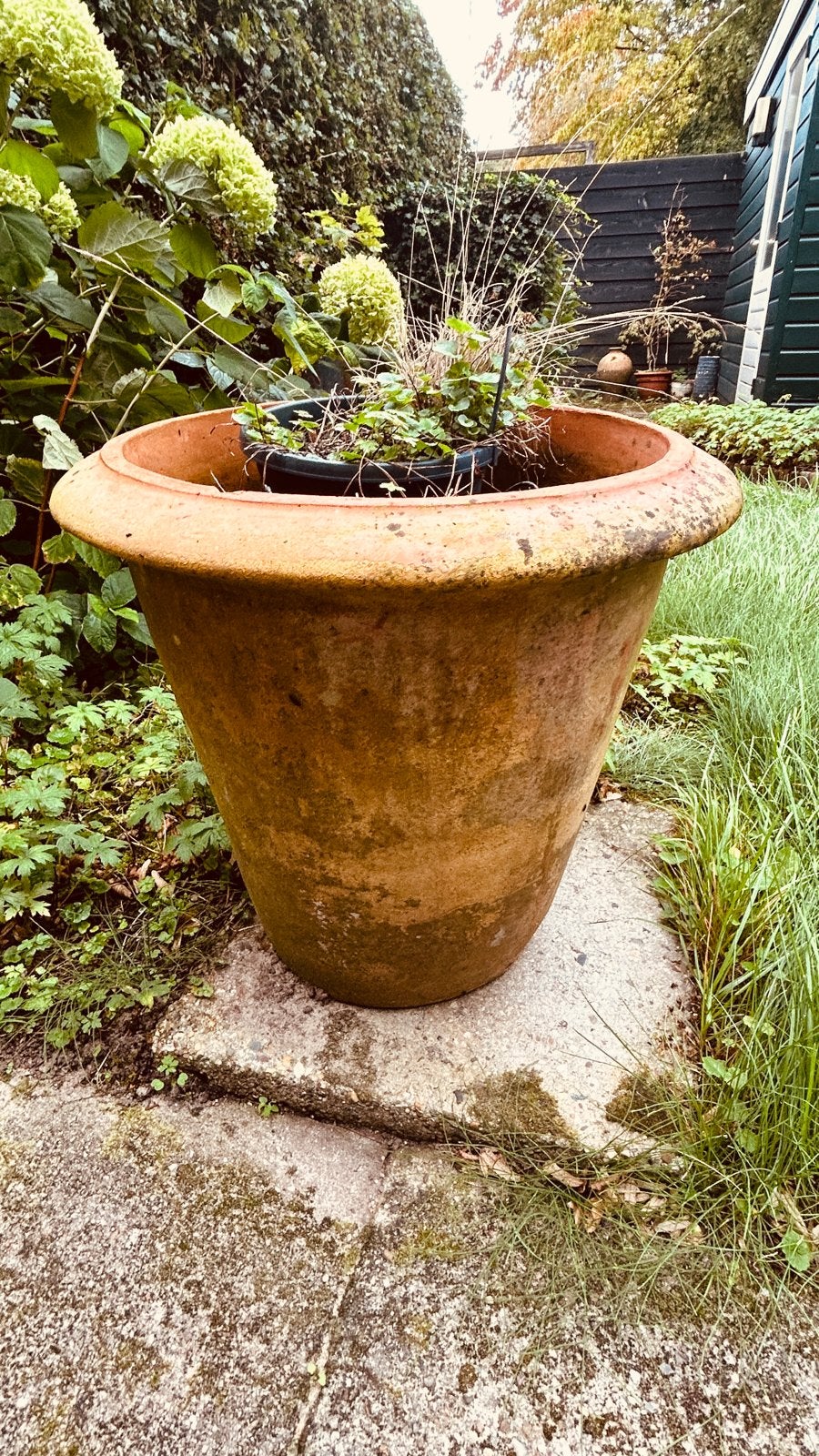 Grote terracotta bloempot, Tuin en Terras, Ophalen, Gebruikt, Balkon, 40 cm of meer