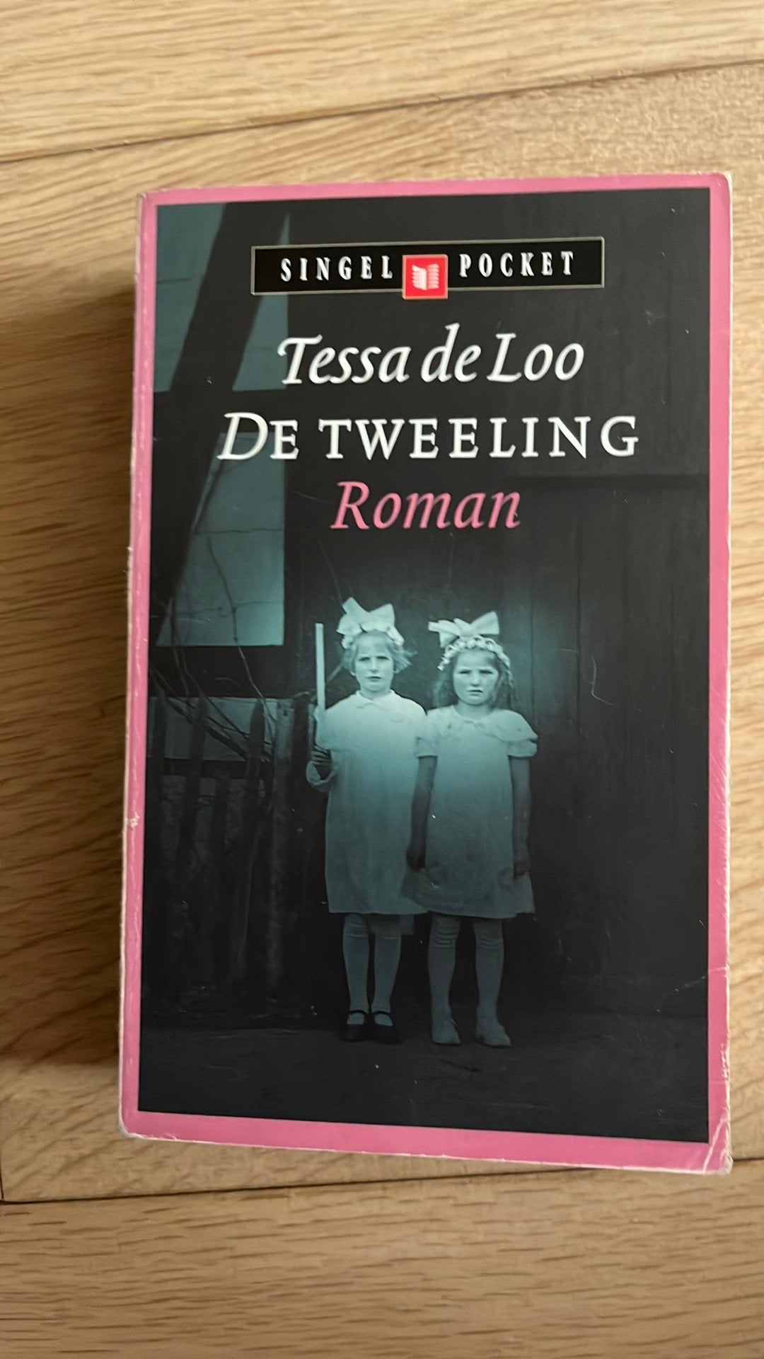 De Tweeling - Tessa de Loo (Singel Pocket), Tessa de Loo, Ophalen of Verzenden, Zo goed als nieuw, Nederland