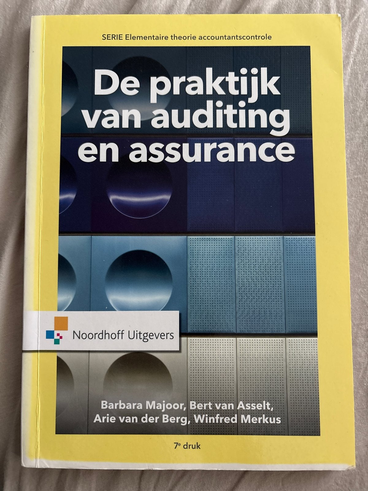 De praktijk van auditing en assurance - 7e druk, Boeken, Ophalen of Verzenden, Gamma, Zo goed als nieuw, HBO