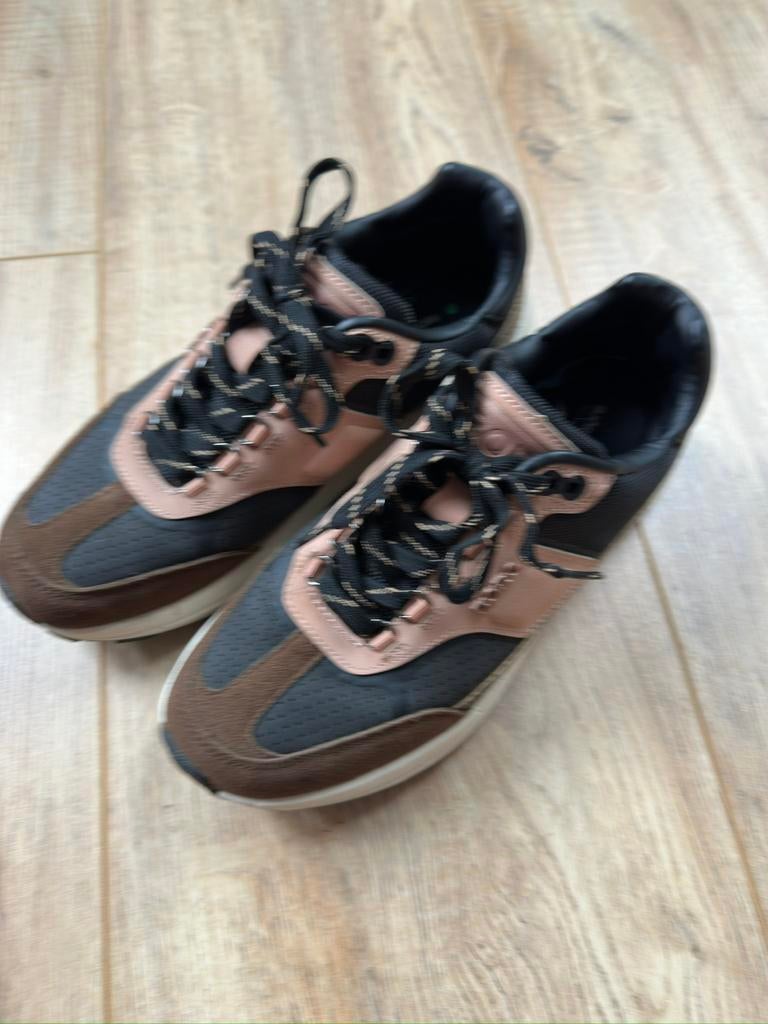 Bjorn borg, Ophalen, Bruin, Sneakers of Gympen, Zo goed als nieuw