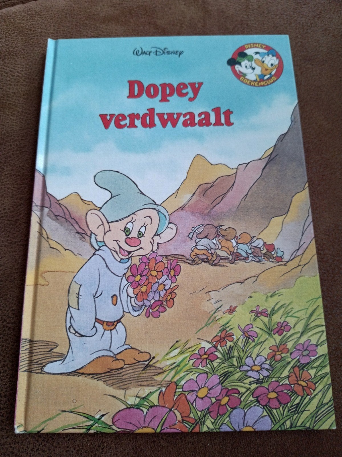 Disney Boek: Dopey Verdwaalt - Sprookjesboek, Boeken, Ophalen of Verzenden