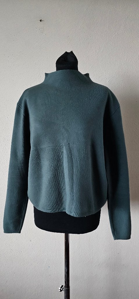 Elias Rumelis Trui Groen Maat M (51224), Kleding | Dames, Maat 38/40 (M), Ophalen of Verzenden, Elias Rumelis, Gedragen